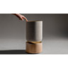 активна та бездротова акустика Bang & Olufsen Beosound Balance Natural Oak